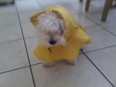 Cute pic in his raincoat.