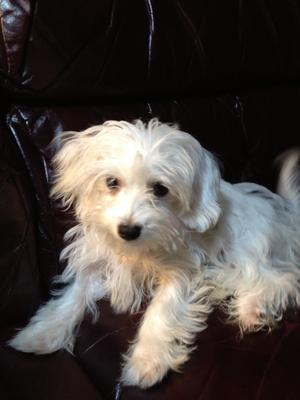 Bella Luna @ 18 wees old Bella Luna @ 18 wees old