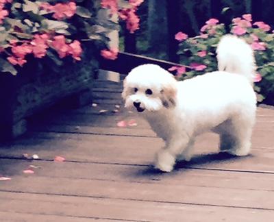 Birthday girl Birthday girl