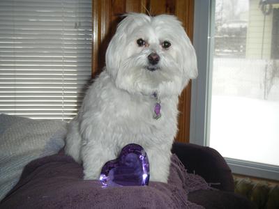 Cher loves her picture taken Cher loves her picture taken