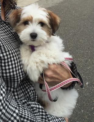 Our new baby Ella Our new baby Ella