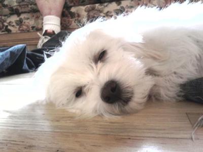 Sleepy Head Sleepy Head