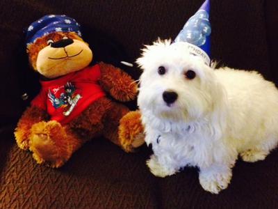 Logan's 1st Birthday Logan's 1st Birthday