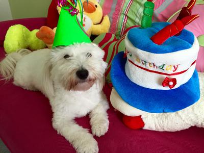 Maxwell celebrating his third birthday. 