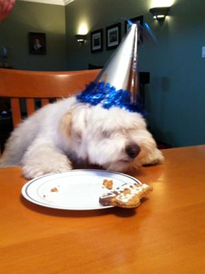 Happy Birthday Nemo! Happy Birthday Nemo!