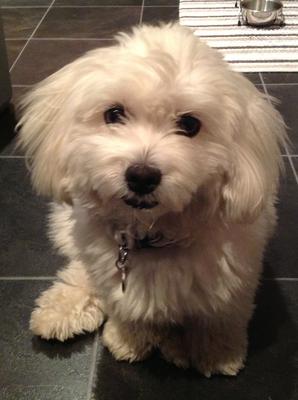 Our baby bear Our baby bear