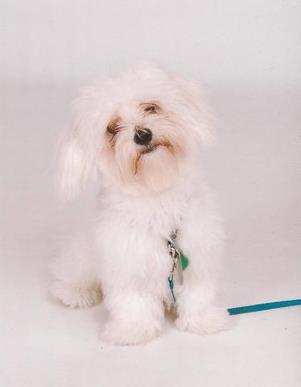 Toby's first professional pictures Toby's first professional pictures