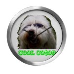 coton de tulear clock