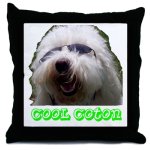 coton de tulear pillow