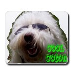 coton de tulear mouse pad