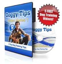 free dog training videos