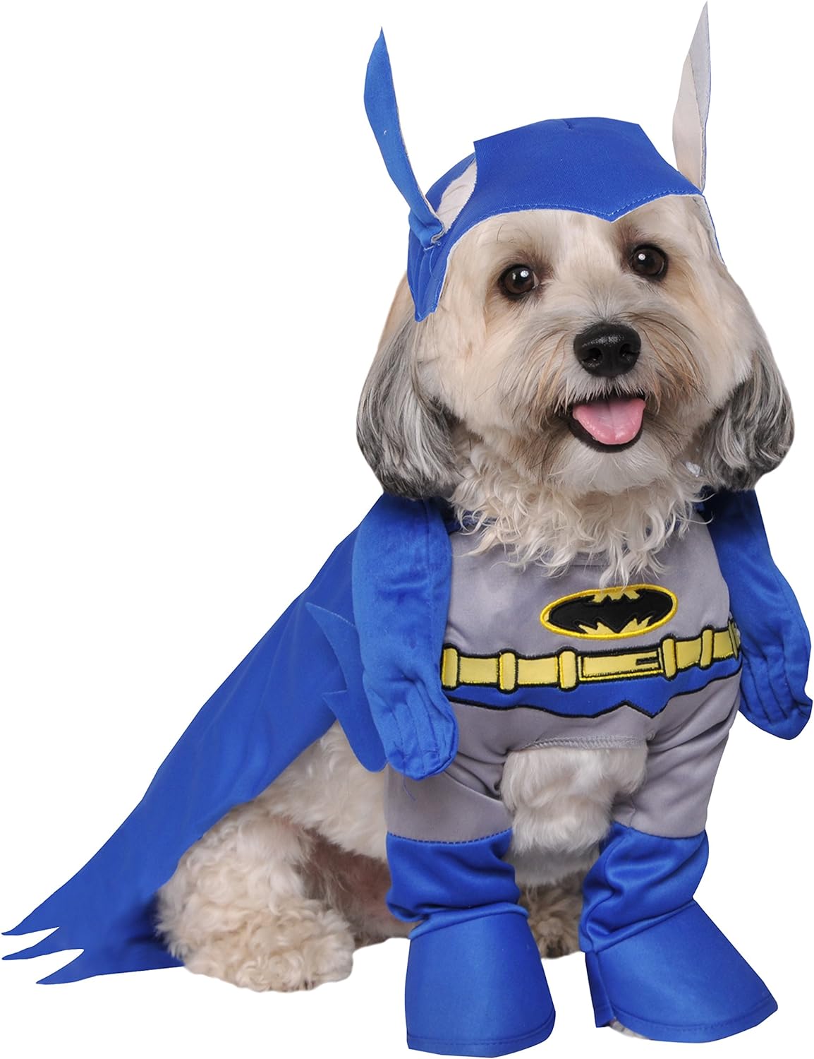 superhero dog costume