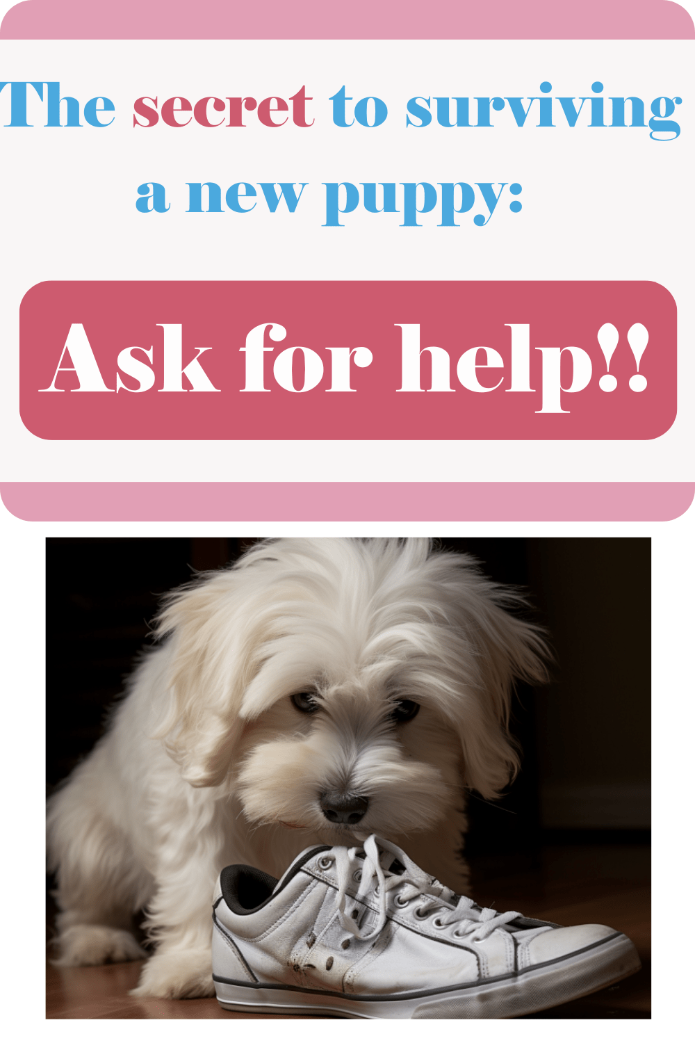 You don’t have to struggle with new puppy blues. Get support and for help with your new puppy!