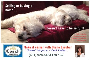 Spanky & Gleason help promote my business with great success!