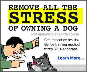 online dog training