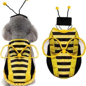 dog bumblebee costume