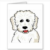 coton de tulear notecards