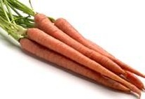 carrot