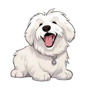 Cartoon Coton de Tulear