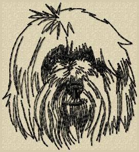 coton de tulear cartoo