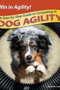 Intermediate Guide to Agility Book