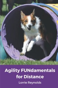 Agility Fundamentals for Distance Book