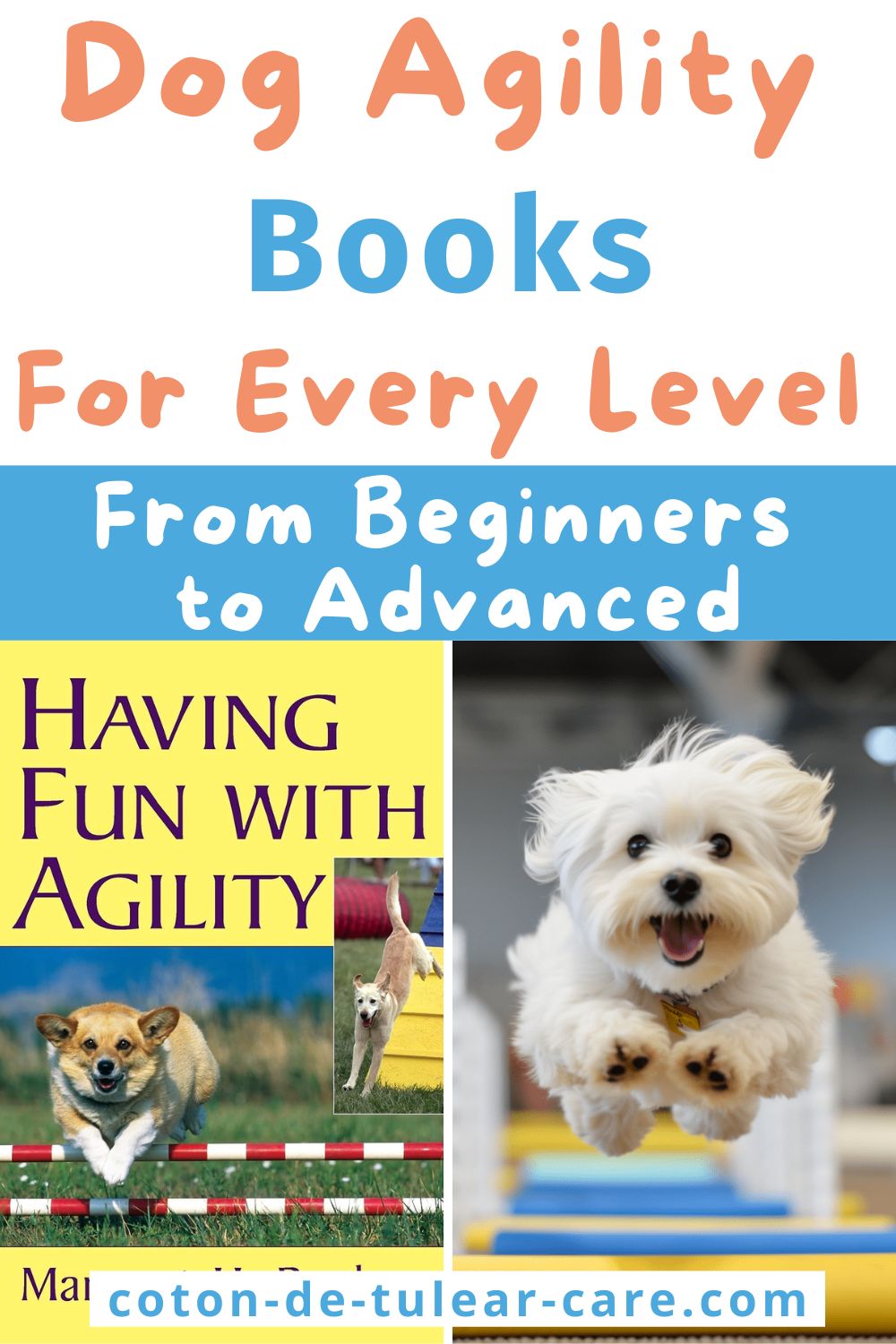 dog agility books