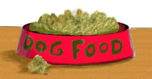 dog food bowl