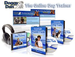 puppy training videos