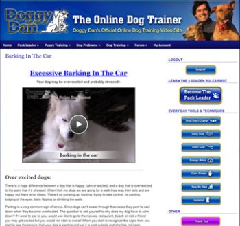 puppy training videos