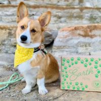 Cratejoy Ecofriendly Dog Box