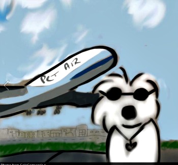 dog airline travel