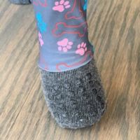 Grippy Socks for dogs