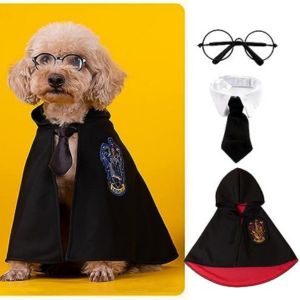 Harry Potter dog costume