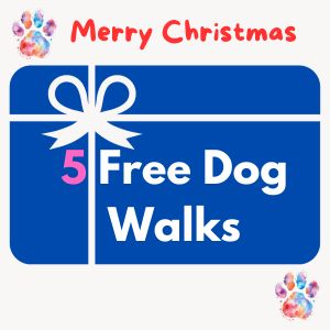 gift voucher holiday gift for dogs