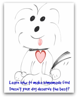 homemade dog food recipes