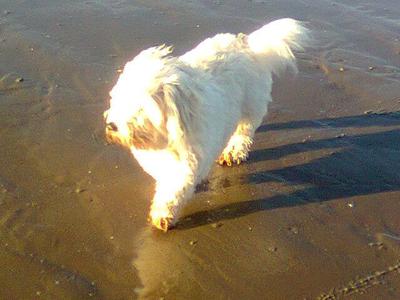 walk on the beach