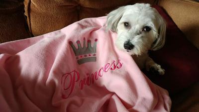 Princess Leila 