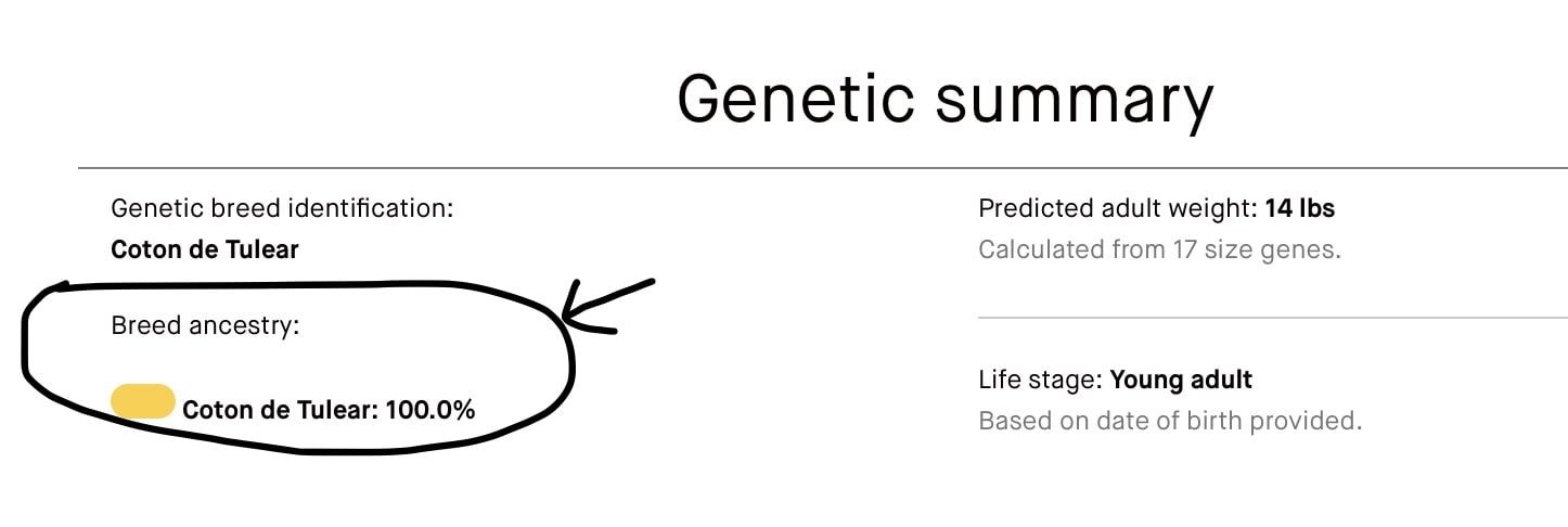 DNA Results Embark