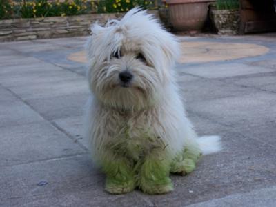 Amie in her green wellies