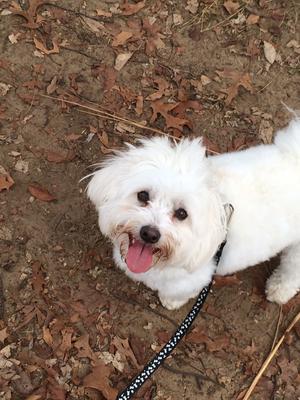 I'm so happy you brought me to the park