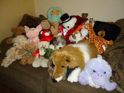 Where's Kyra?  She just celebrated her 3-month birthday with a few of her friends!