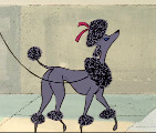 cartoon poodl