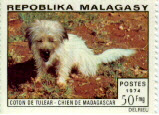 malagasy postage stamp