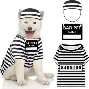 funny dog prisoner costume