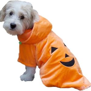 pumpkin dog costume