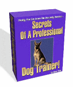 secrets of a professional dog trainer