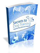 secrets to dog training