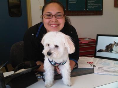 With Paisley, his favorite groomer, after his bath and haircut.