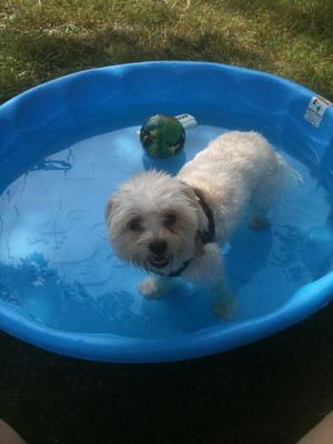 Hot summer Fun with Spanky